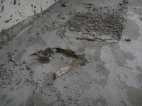 DSC03567 - копия.webp