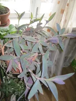 IMG_1782.webp