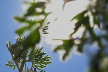 .webp