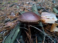 P61112-084737.jpg