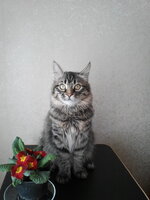 20160308103426.jpg