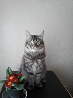 20160308103426.webp