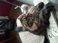 2016719134650.webp