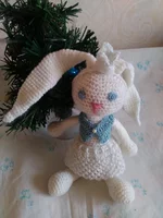 IMG_20161112_111346.webp