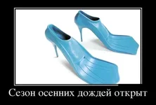 1476858572_171.webp