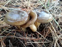20161112_142623.jpg