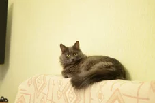 DSC_2551.webp