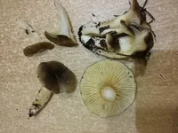 20161119_160526.jpg