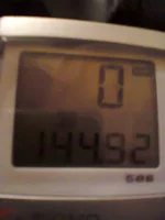 1235.webp