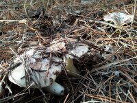 20161120_131308.jpg