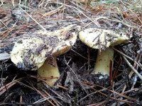 20161120_135156.jpg