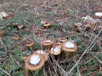 20161120_142140.jpg