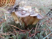 20161120_130304.jpg