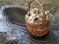 20161120_144549.jpg