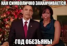 8786392.webp