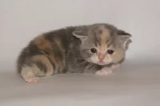 PB126053.webp PB126053.webp