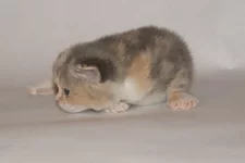 PB126054.webp PB126054.webp