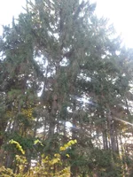 IMG_1804.webp