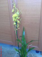 DSC01495.JPG