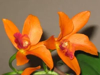 IMG_0853.jpg