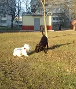 7a7df7c5a06e.webp