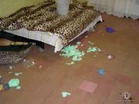 getImage.jpg1.webp