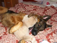 CIMG8544_изменить размер.webp