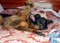 CIMG8545_изменить размер.webp