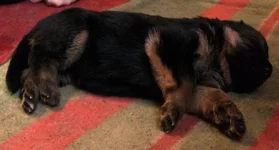 CIMG8554_изменить размер.webp