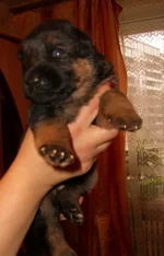 CIMG8556_изменить размер.webp