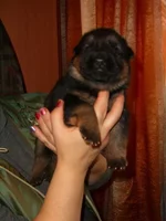 CIMG8562_изменить размер.webp