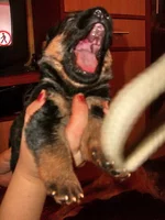 CIMG8616_изменить размер.webp