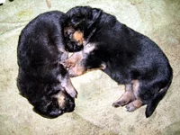 CIMG8574_изменить размер.webp