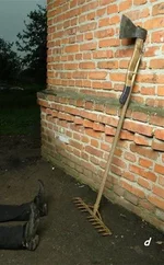 ve69ns0000000.webp