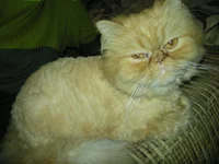 DSCN0708.webp