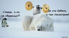 .webp