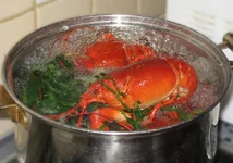 .webp