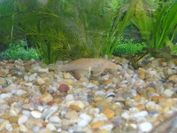 BILD0191.webp