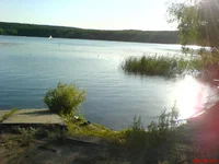 DSC01450.webp
