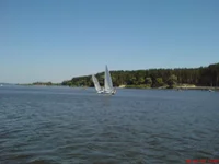 DSC03202.jpg