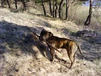 090419_163541.webp