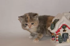 PB186157.webp PB186157.webp