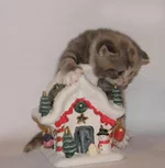 PB186154.webp PB186154.webp