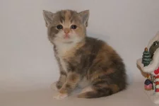 PB186164.webp PB186164.webp