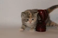 PB186191.webp PB186191.webp