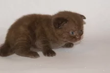 PB186205.webp PB186205.webp