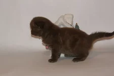 PB186232.webp PB186232.webp