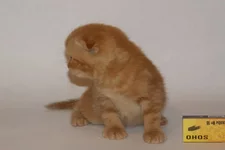 PB186249.webp PB186249.webp