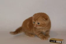 PB186252.webp PB186252.webp