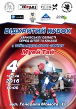 _Кубок области_2016_А4_МУЕЙ ТАЙ.webp